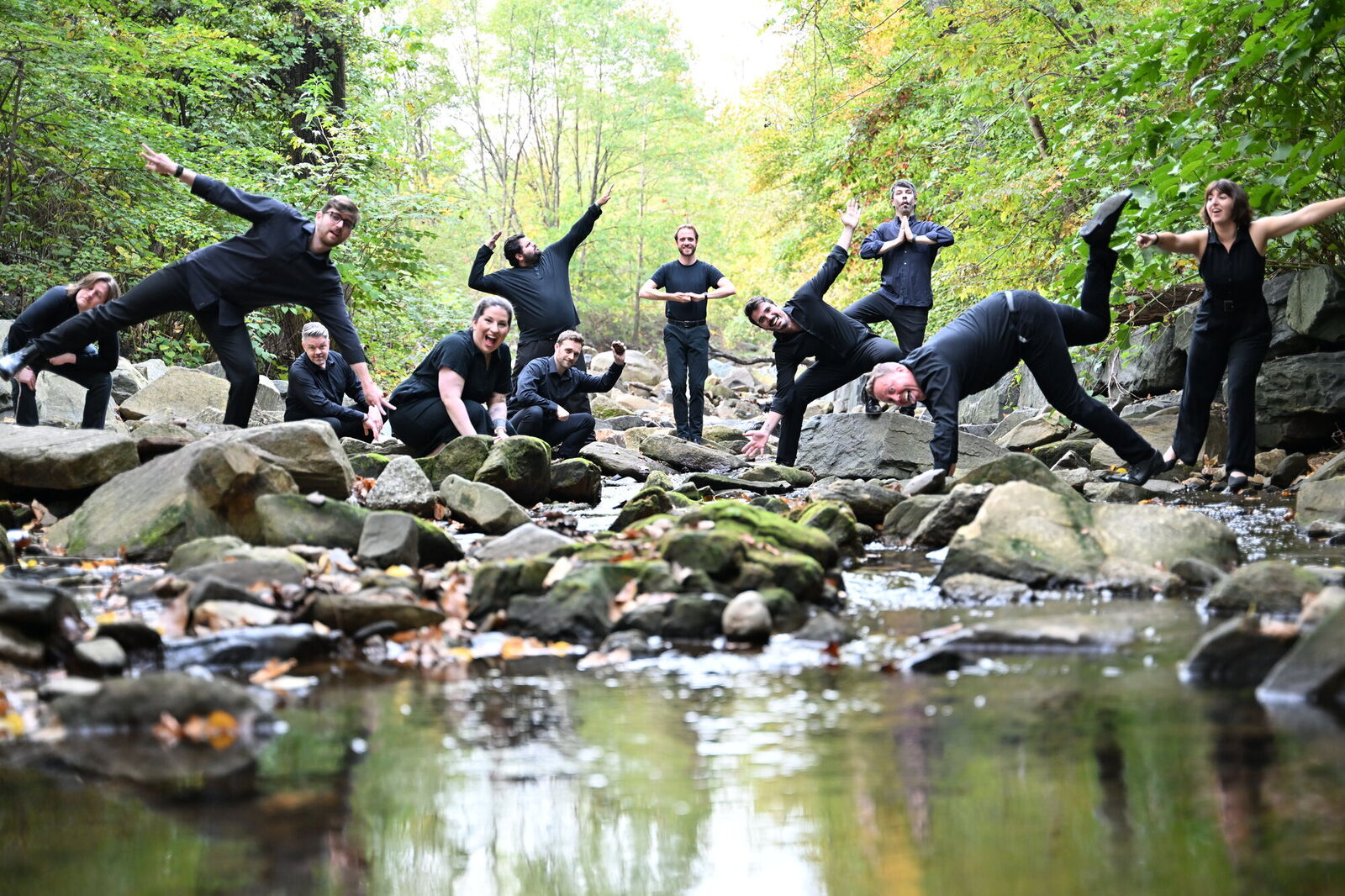 VII - i ensemble